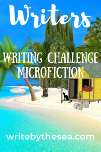 microfiction challenge